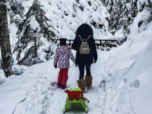 فندق بلفيدير في زاكوباني، بولندا